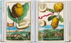 The Book of Citrus Fruits