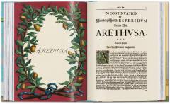 The Book of Citrus Fruits