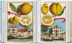 The Book of Citrus Fruits