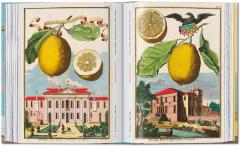 The Book of Citrus Fruits