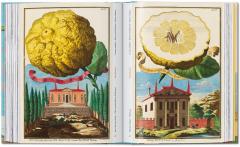 The Book of Citrus Fruits