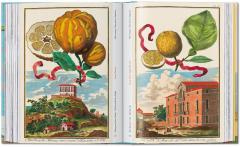 The Book of Citrus Fruits