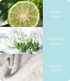 Set lumanare parfumata - Candle & Tree Decoration