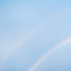 Never Enough - Vinyl