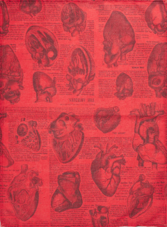 Prosop de bucatarie - Anatomical Heart 