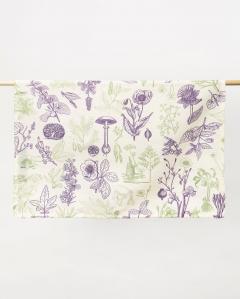 Prosop de bucatarie - Poisonous Plants