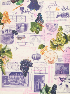 Prosop de bucatarie - Winemaking Science