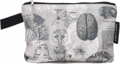 Penar - Brain Anatomy