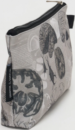 Penar - Brain Anatomy