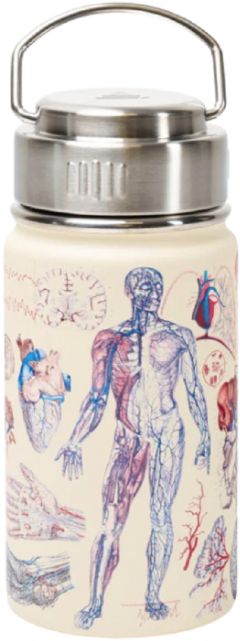 Termos - Human Anatomy, 350 ml