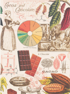 Caiet - Chocolate Making Science