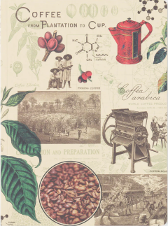 Caiet - Coffee Making Science