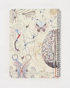 Caiet spiralat - Brain Anatomy A5