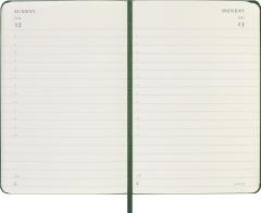 Agenda 2026 - Moleskine Classic 12 Months Daily Planner - Hardcover, Pocket (Myrtle Green)