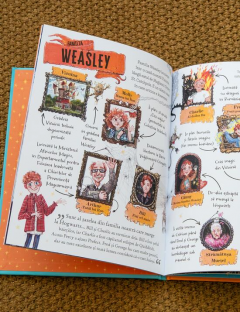 Pocket Potters - Ron Weasley