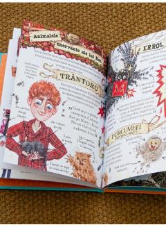 Pocket Potters - Ron Weasley