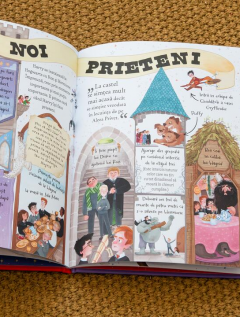 Pocket Potters - Harry Potter