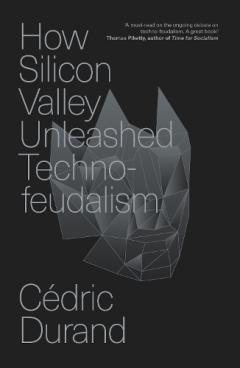 How Silicon Valley Unleashed Techno-feudalism
