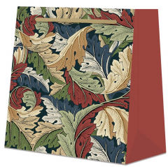 Punga cadou - McAcanthus - Mediu