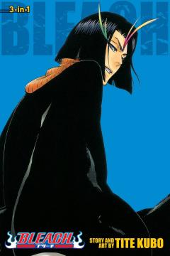 Bleach (3-in-1 Edition) - Volume 13 