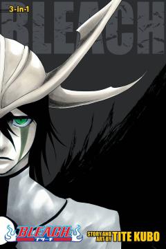 Bleach (3-in-1 Edition) - Volume 14