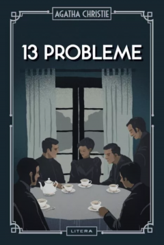 13 probleme