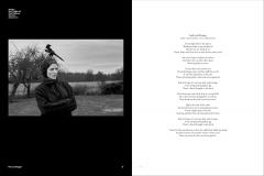 David Gilmour: Luck and Strange - Studio/Live