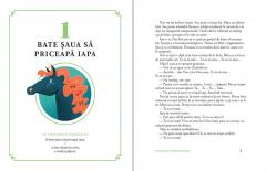 Alte 15 expresii romanesti