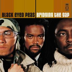 Bridging The Gap (Vinyl, 25th Anniversary)