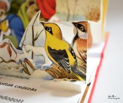 Mesel az erdo - Karacsony