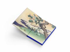 The Travelling Cat Chronicles