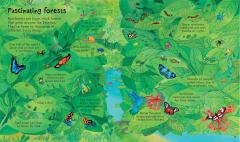 Look Inside Our World