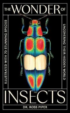 Wonder of Insects: Uncovering their Hidden World