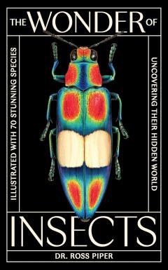 The Wonder of Insects