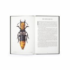 The Wonder of Insects