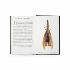 The Wonder of Insects