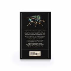 The Wonder of Insects