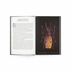 The Wonder of Insects