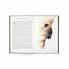 The Wonder of Insects