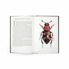 The Wonder of Insects