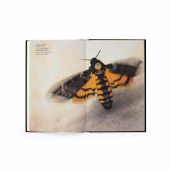 The Wonder of Insects