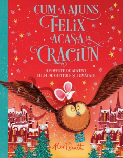 Cum a ajuns Felix acasa de Craciun