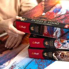 Puzzle 1000 de piese - Photo Odyssey: Spirit Island, Canada