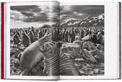 Sebastio Salgado. Genesis