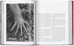 Sebastio Salgado. Genesis