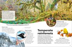 Eyewonder Rainforest