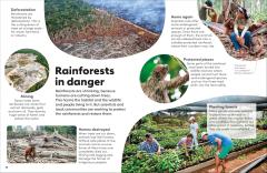 Eyewonder Rainforest