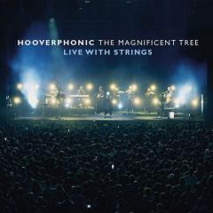 The Magnificent Tree (Live With Strings)