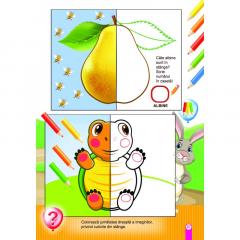 Atelierul iepurasului. Cartea 1