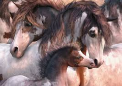 Puzzle 1000 piese - Pinto-Hearth